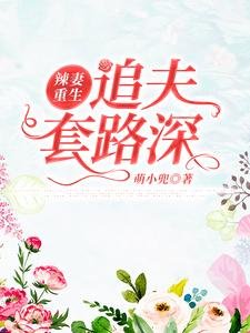 辣妻重生,追夫套路深